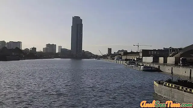 Homeemade video: Dark shaft delights tight ass🍑 and pussy✌