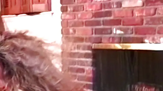 Lesbians spice up their party with intense anal👌 encounters