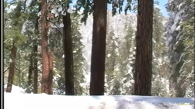 Once the trip ends &mdash;  the stunning blonde craves wild anal👌 pleasure