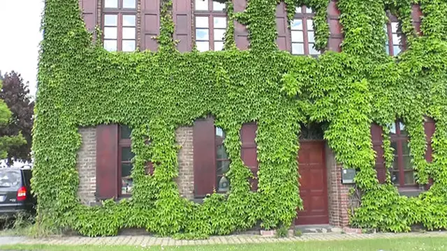 Orgasmic throat-f***ing nun surrendering to forbidden pleasures