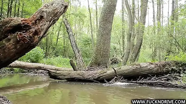 Wild fuck drive in the woods