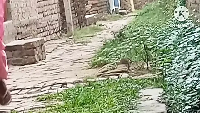 milf′s Secret🤫 Pleasures