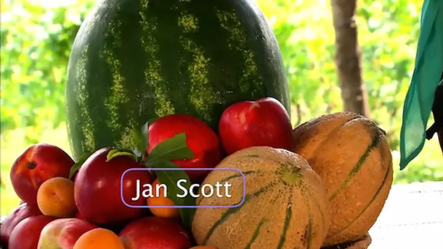 slurping on a hot Italian babe in the summer sun outdoors