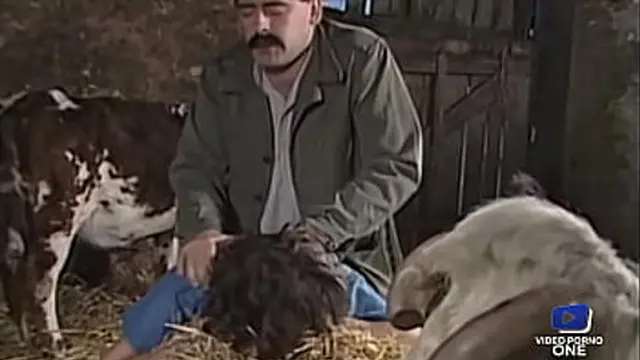 Raw and unapologetic barn bangers &mdash;  brunets and blondes &mdash;  multiple partners &mdash;  wild sex &mdash;  no holds barred &mdash;  no regrets