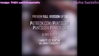 Raw, explicit pixel play, 18+ gamers' sweaty, fleshy fantasies come alive in motion