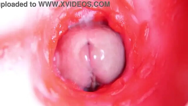 Almost there! Close-up POV of big cock sliding inside a cute pussy